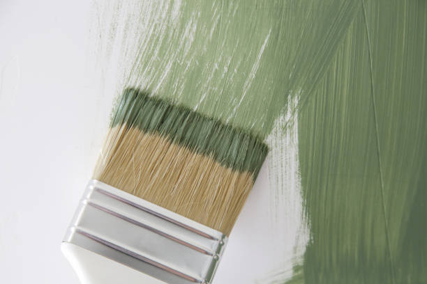 Reliable Sylvania, GA Mold Removal Solutions